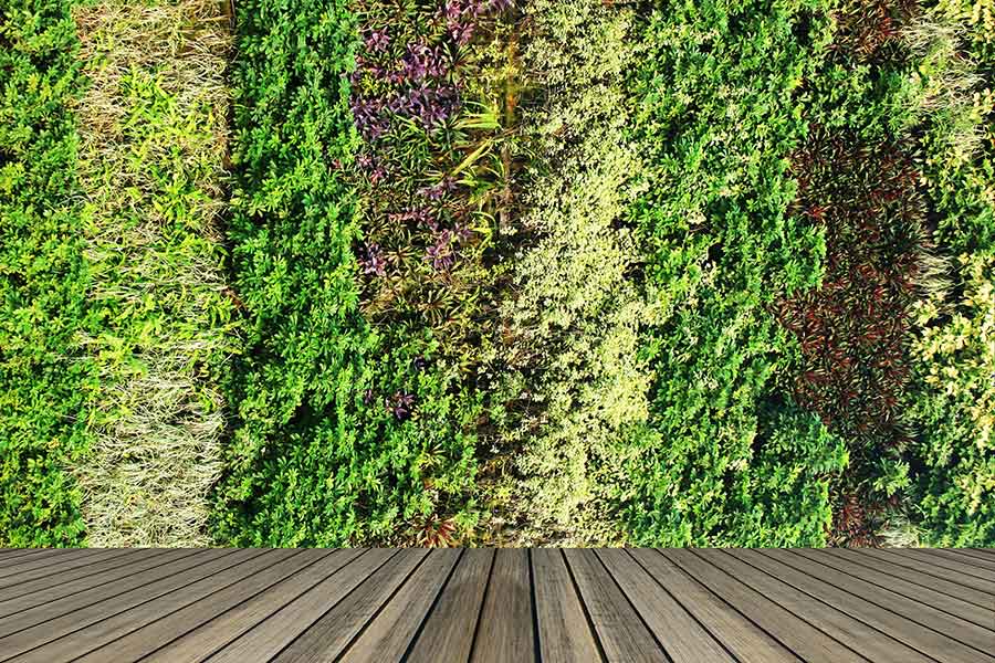 Living garden wall